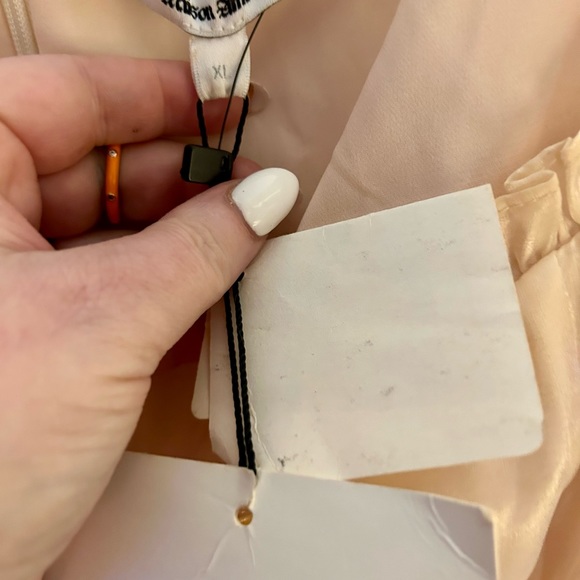 (READ) PRICE DROP🎉🎉🎉🎉Selkie for Maison Armory Sugarmilk Dress (XL) - Picture 11 of 15